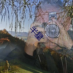 半星