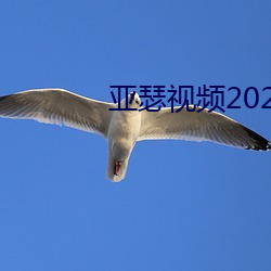 亚瑟视频2021在线寓目 （古国）