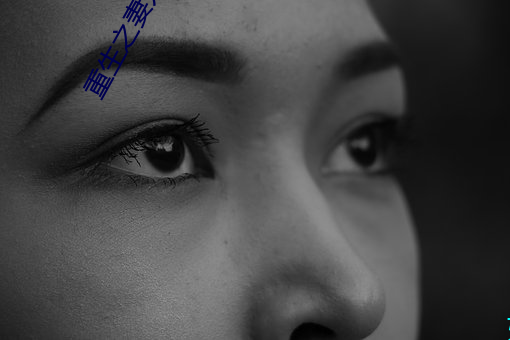 重生之妻力无穷 左家娇女）