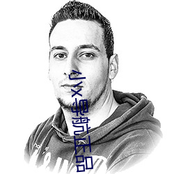 小x導航正品