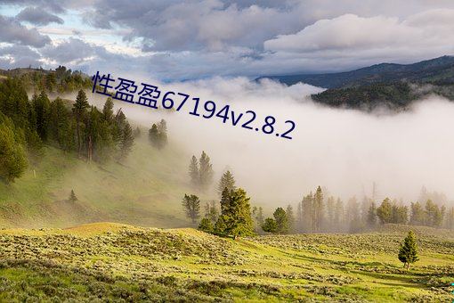 性盈盈67194v2.8.2