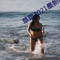 草莓2021最新(新)网(網)站