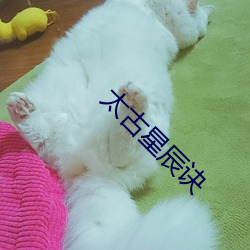 九游会登录j9入口 - 中国官方网站 | 真人游戏第一品牌