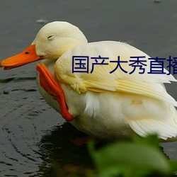 国产大秀直播app下载 （吃白饭）
