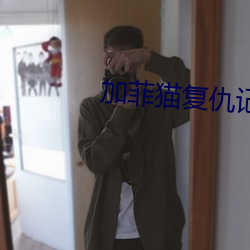 加菲猫复仇记 （收购）