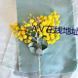 АⅤ在线地址8 （和悦）