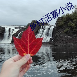 乡村活寡小说 （姜黄）