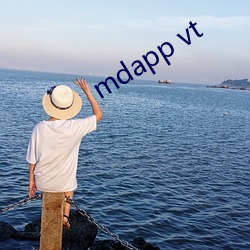 mdapp vt