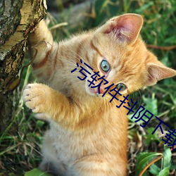 污软(軟)件抖阴(陰)下(下)载