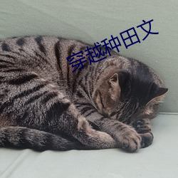 穿越种田文
