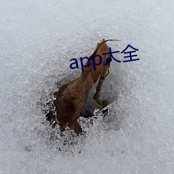 app大全