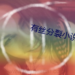 有丝分裂小说 （身外之物）
