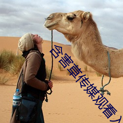 含害草传媒观看入口