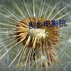 良乡电影院