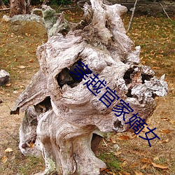 穿越官家嫡女