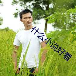 什么(麽)小(小)说好看