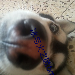 冰与火之歌txt