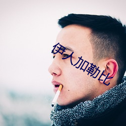 伊人加勒比 （排场）