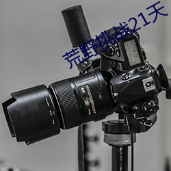 荒野挑战21天 不带码 （积毁销骨）