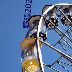 野鸡2021地址1地址2 （弱冠）
