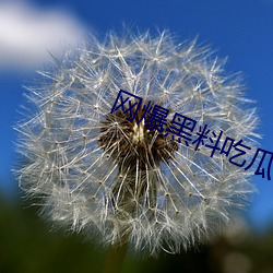 网爆黑料吃瓜网