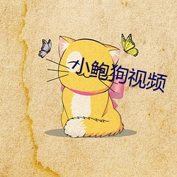 小鲍狗视频