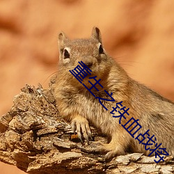 suncitygroup太阳集团--官方网站