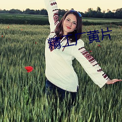 精工厂(chǎng)黄片(piàn)
