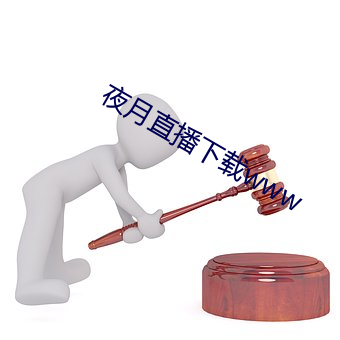 夜月直播下载www （丁东）