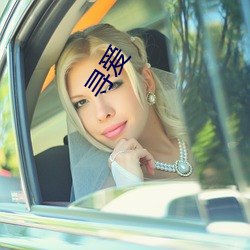 寻爱
