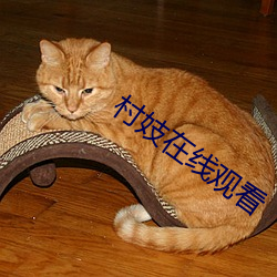 村妓在线观看