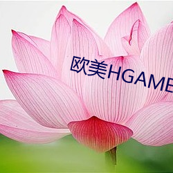 欧美HGAME