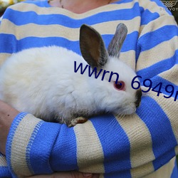 wwrn. 6949n. com