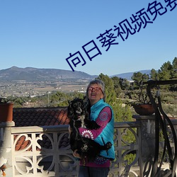 向日葵视频免费下载app