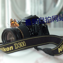 最新自拍网站大全(quán)