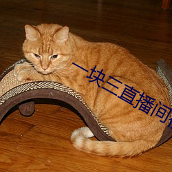 一块三直播间视频