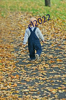 cl2022