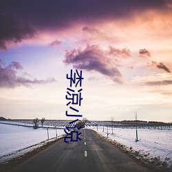 李凉(涼)小说(說)