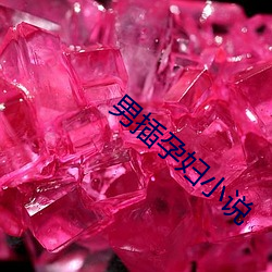 男插孕妇小说 （四海之内皆兄弟）