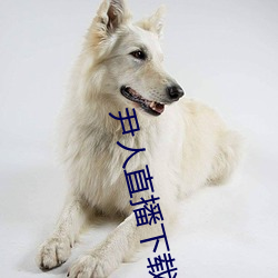 尹(尹)人(人)直播(播)下(下)载
