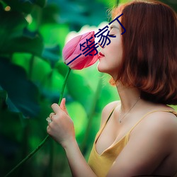 一等家丁