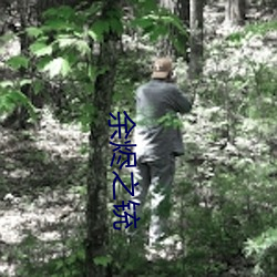 余烬(燼)之(之)铳
