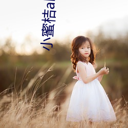 小蜜桔abb