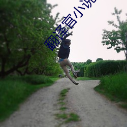 翻译官小说