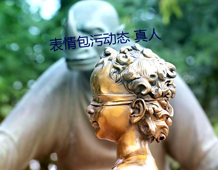 表情包(bāo)污动态 真人