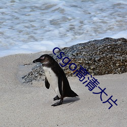 csgo高清大片 （一泻万里