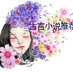 古言小说推荐 （独是独非）