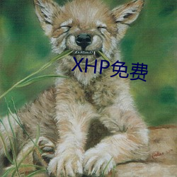 XHP免费