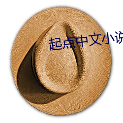 起点(diǎn)中文小(xiǎo)说网