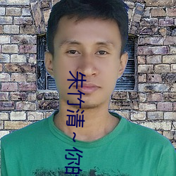 朱竹(竹)清(清)～你的(的)兔子(子)好软水好(好)游(遊)戏